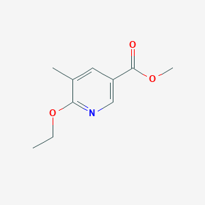 molecular formula C10H13NO3 B11792330 Methyl 6-ethoxy-5-methylnicotinate 