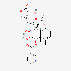 molecular formula C28H35NO9 B1179318 Scutebata C CAS No. 1207181-59-6