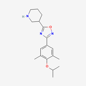 3-(4-Isopropoxy-3,5-dimethylphenyl)-5-(piperidin-3-yl)-1,2,4-oxadiazole