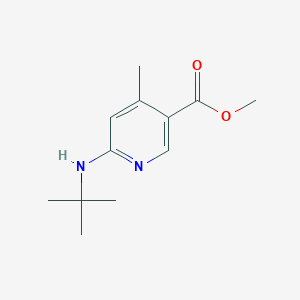 Methyl 6-(tert-butylamino)-4-methylnicotinate