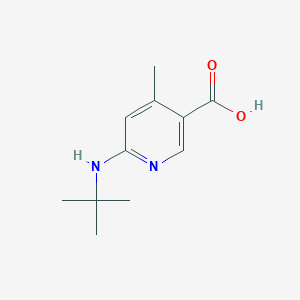 molecular formula C11H16N2O2 B11798671 6-(tert-Butylamino)-4-methylnicotinic acid 