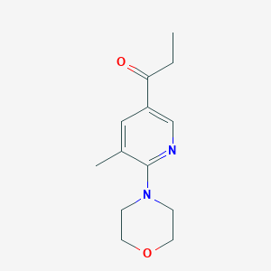 molecular formula C13H18N2O2 B11805211 1-(5-Methyl-6-morpholinopyridin-3-yl)propan-1-one 