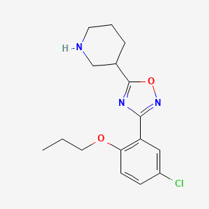 3-(5-Chloro-2-propoxyphenyl)-5-(piperidin-3-yl)-1,2,4-oxadiazole