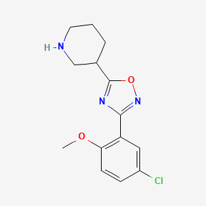 3-(5-Chloro-2-methoxyphenyl)-5-(piperidin-3-yl)-1,2,4-oxadiazole