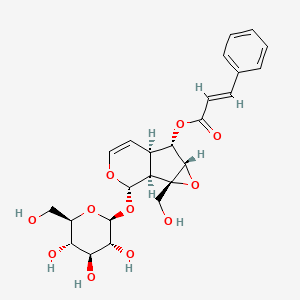 molecular formula C24H28O11 B1180744 6-O-肉桂酰赤芍酚 CAS No. 136807-41-5