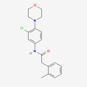 molecular formula C19H21ClN2O2 B1181823 N-[3-chloro-4-(4-morpholinyl)phenyl]-2-(2-methylphenyl)acetamide 