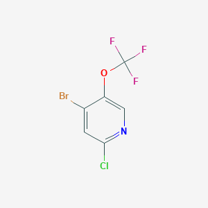 molecular formula C6H2BrClF3NO B11822432 4-Bromo-2-chloro-5-(trifluoromethoxy)pyridine CAS No. 1361681-64-2