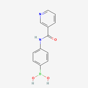 molecular formula C12H11BN2O3 B11822451 4-(Nicotinamido)phenylboronic acid 