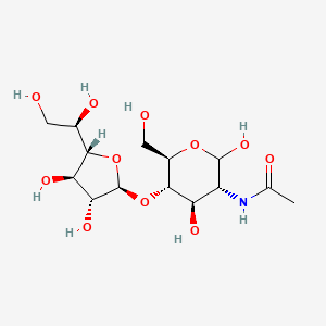 molecular formula C14H25NO11 B11824717 2-Acetamido-2-deoxy-4-o-(b-d-galactofuranosyl)-d-glucopyranose 