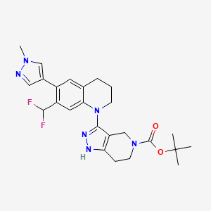 molecular formula C25H30F2N6O2 B11826615 tert-Butyl 3-(7-(difluoromethyl)-6-(1-methyl-1H-pyrazol-4-yl)-3,4-dihydroquinolin-1(2H)-yl)-1,4,6,7-tetrahydro-5H-pyrazolo[4,3-c]pyridine-5-carboxylate 