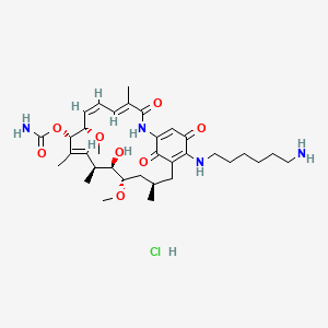 Aminohexylgeldanamycin hydrochloride