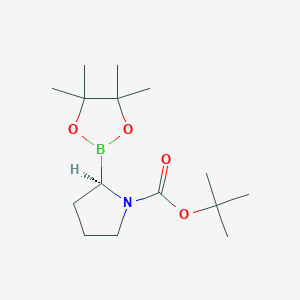 tert-butyl (2R)-2-(4,4,5,5-tetramethyl-1,3,2-dioxaborolan-2-yl)pyrrolidine-1-carboxylate