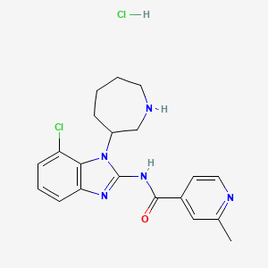 molecular formula C20H23Cl2N5O B11833257 N-[1-(azepan-3-yl)-7-chlorobenzimidazol-2-yl]-2-methylpyridine-4-carboxamide;hydrochloride 