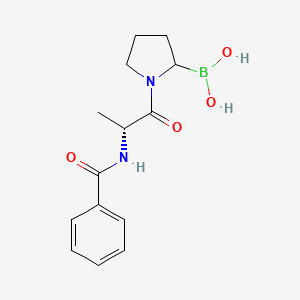 molecular formula C14H19BN2O4 B11836162 (1-((R)-2-Benzamidopropanoyl)pyrrolidin-2-yl)boronic acid CAS No. 915284-98-9