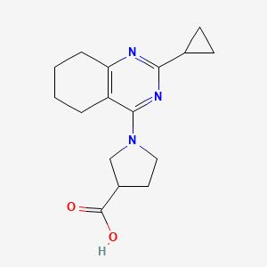 1-(2-Cyclopropyl-5,6,7,8-tetrahydroquinazolin-4-yl)pyrrolidine-3-carboxylic acid