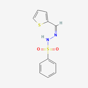 molecular formula C11H10N2O2S2 B11849349 (E)-N'-(thiophen-2-ylmethylene)benzenesulfonohydrazide 