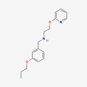 molecular formula C17H22N2O2 B1185178 N-(3-propoxybenzyl)-2-(pyridin-2-yloxy)ethanamine 