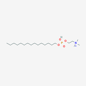 molecular formula C20H45NO4P+ B118532 十五烷基磷胆碱 CAS No. 146801-07-2