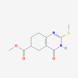 molecular formula C11H14N2O3S B11858004 Methyl 2-(methylsulfanyl)-4-oxo-1,4,5,6,7,8-hexahydroquinazoline-6-carboxylate CAS No. 5437-53-6