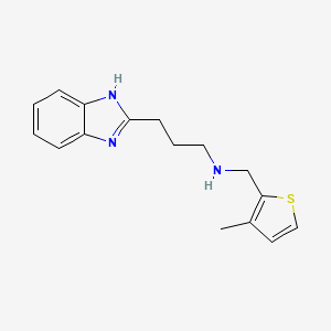 molecular formula C16H19N3S B1185848 3-(1H-benzimidazol-2-yl)-N-[(3-methyl-2-thienyl)methyl]-1-propanamine 