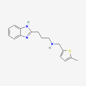 molecular formula C16H19N3S B1185849 3-(1H-benzimidazol-2-yl)-N-[(5-methyl-2-thienyl)methyl]-1-propanamine 