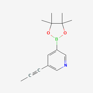 molecular formula C14H18BNO2 B11871924 3-(Prop-1-yn-1-yl)-5-(4,4,5,5-tetramethyl-1,3,2-dioxaborolan-2-yl)pyridine 