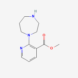 molecular formula C12H17N3O2 B11873816 Methyl 2-(1,4-diazepan-1-yl)nicotinate 