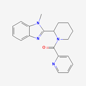 molecular formula C19H20N4O B1187413 [2-(1-methyl-1H-benzimidazol-2-yl)piperidin-1-yl](pyridin-2-yl)methanone 