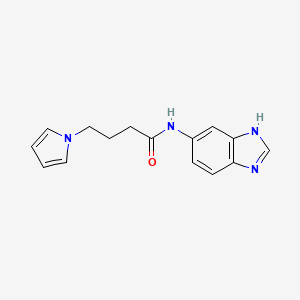 molecular formula C15H16N4O B1187463 N-(1H-benzimidazol-5-yl)-4-(1H-pyrrol-1-yl)butanamide 