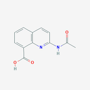 molecular formula C12H10N2O3 B11878990 2-Acetamidoquinoline-8-carboxylic acid 