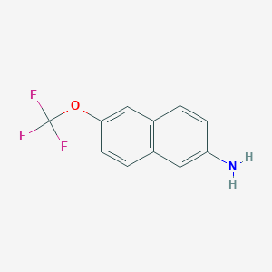 molecular formula C11H8F3NO B11879945 6-(Trifluoromethoxy)naphthalen-2-amine 