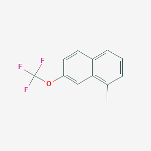 molecular formula C12H9F3O B11882359 1-Methyl-7-(trifluoromethoxy)naphthalene 