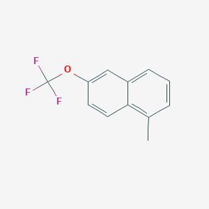 molecular formula C12H9F3O B11884059 1-Methyl-6-(trifluoromethoxy)naphthalene 