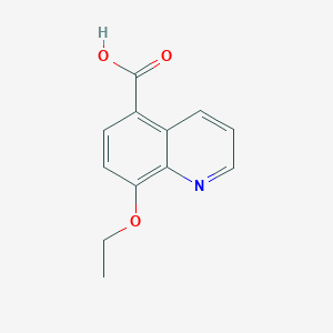 8-Ethoxyquinoline-5-carboxylic acid