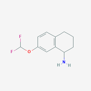 molecular formula C11H13F2NO B11887655 7-(Difluoromethoxy)-1,2,3,4-tetrahydronaphthalen-1-amine 