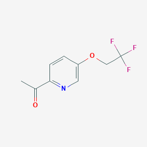 molecular formula C9H8F3NO2 B11888561 1-(5-(2,2,2-Trifluoroethoxy)pyridin-2-yl)ethanone CAS No. 1240620-05-6