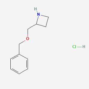 molecular formula C11H16ClNO B11891708 2-((Benzyloxy)methyl)azetidine hydrochloride CAS No. 1956365-49-3