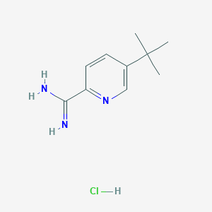 molecular formula C10H16ClN3 B11891789 5-(tert-Butyl)picolinimidamide hydrochloride CAS No. 1179360-93-0