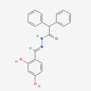 molecular formula C21H18N2O3 B1189374 N'-(2,4-dihydroxybenzylidene)-2,2-diphenylacetohydrazide 