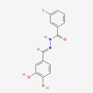 molecular formula C14H11IN2O3 B1189415 N'-[(E)-(3,4-dihydroxyphenyl)methylidene]-3-iodobenzohydrazide 
