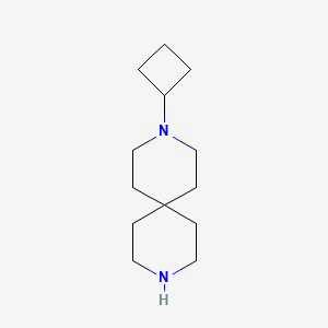 molecular formula C13H24N2 B11894170 3-Cyclobutyl-3,9-diazaspiro[5.5]undecane CAS No. 1001054-50-7