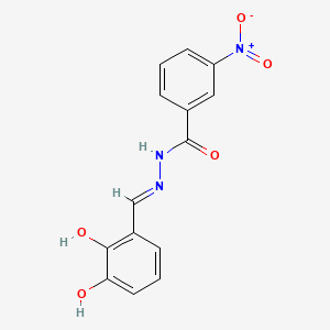 molecular formula C14H11N3O5 B1189738 N'-(2,3-dihydroxybenzylidene)-3-nitrobenzohydrazide 