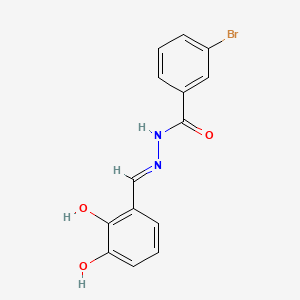 molecular formula C14H11BrN2O3 B1189741 3-bromo-N'-(2,3-dihydroxybenzylidene)benzohydrazide 