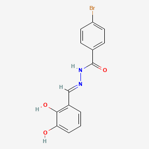 molecular formula C14H11BrN2O3 B1189742 4-bromo-N'-(2,3-dihydroxybenzylidene)benzohydrazide 