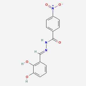 molecular formula C14H11N3O5 B1189743 N'-(2,3-dihydroxybenzylidene)-4-nitrobenzohydrazide 