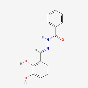 molecular formula C14H12N2O3 B1189744 N'-(2,3-dihydroxybenzylidene)benzohydrazide 