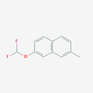 molecular formula C12H10F2O B11897881 2-(Difluoromethoxy)-7-methylnaphthalene 