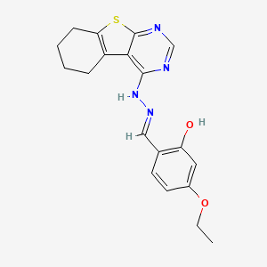 molecular formula C19H20N4O2S B1189817 4-Ethoxy-2-hydroxybenzaldehyde 5,6,7,8-tetrahydro[1]benzothieno[2,3-d]pyrimidin-4-ylhydrazone 