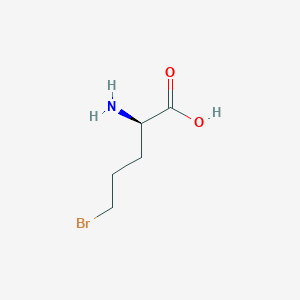 molecular formula C5H10BrNO2 B11903571 (R)-2-Amino-5-bromopentanoic acid 