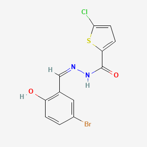 molecular formula C12H8BrClN2O2S B1190425 N'-(5-bromo-2-hydroxybenzylidene)-5-chloro-2-thiophenecarbohydrazide 